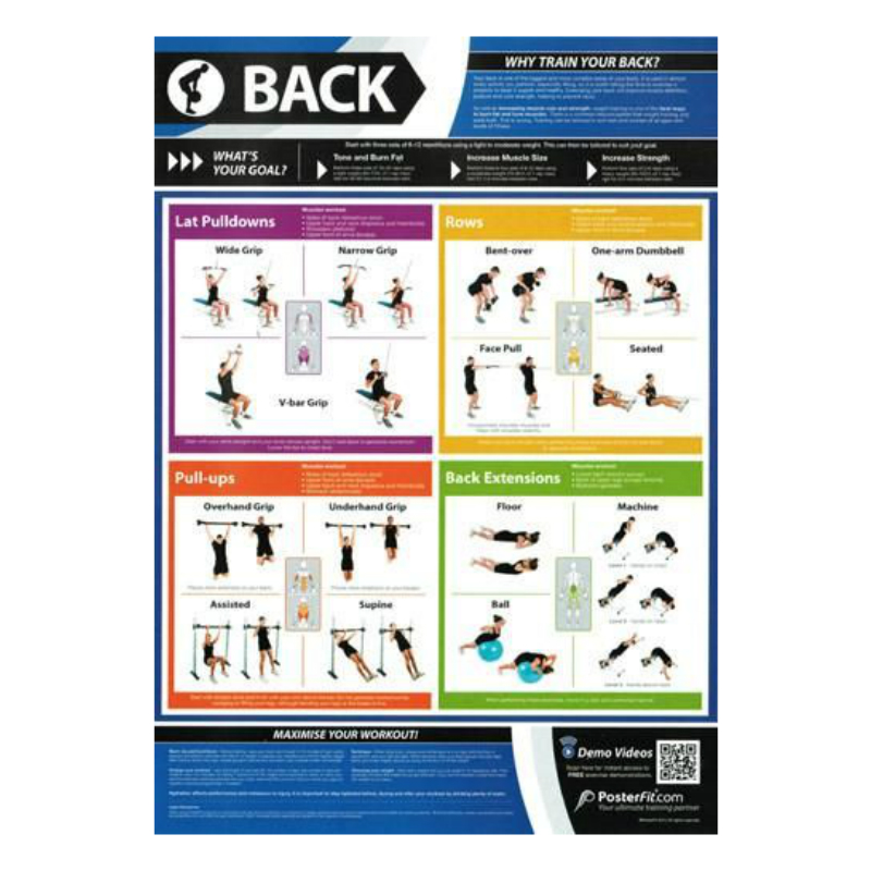 PosterFit Back Chart on Sale at Gym Marine Yachts & Interiors