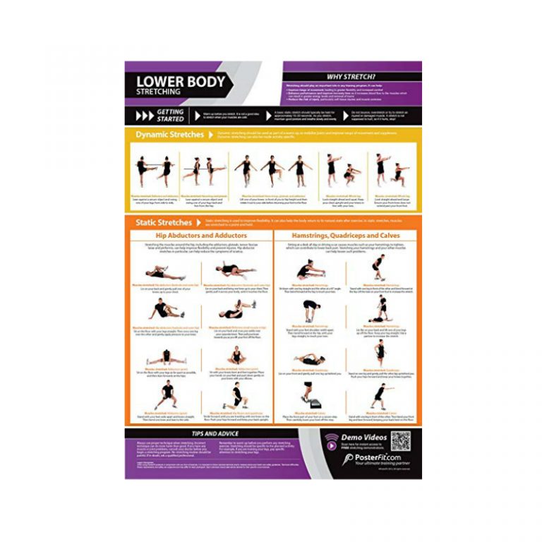 PosterFit Upper Body Stretching Chart on Sale at Gym Marine